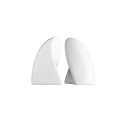 Salz-und Pfefferstreuer