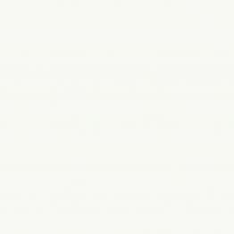 Tissue-GO Servietten � vielseitig einsetzbar und praktisch, in einer breiten Farbpalette und verschiedenen Qualit�ten erh�ltlich.