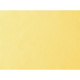 Ein praktisches Tischset, das Ihnen die Arbeit des Aufr�umens nach dem Besuch Ihrer G�ste erleichtert. Eine hygienische und saubere Art, Tische zu sch�tzen.