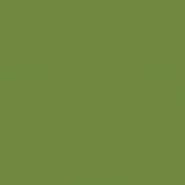 Tissue-GO Servietten � vielseitig einsetzbar und praktisch, in einer breiten Farbpalette und verschiedenen Qualit�ten erh�ltlich.