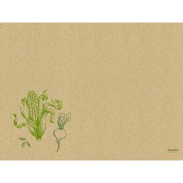 Mehr Produktinformationen Tischsets Gras 30 x 40 cm VEGGIES (250�Stck)
