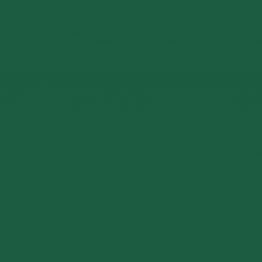 Mehr Produktinformationen Serviette 40 x 40 cm BioDunisoft dunkelgr�n (60�Stck)