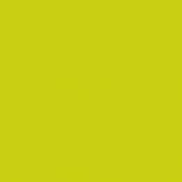 Mehr Produktinformationen Serviette 40 x 40 cm BioDunisoft hellgr�n (60�Stck)