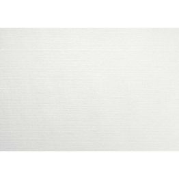 Mehr Produktinformationen Platzset 30x40cm VELVIQ WHITE 75St.